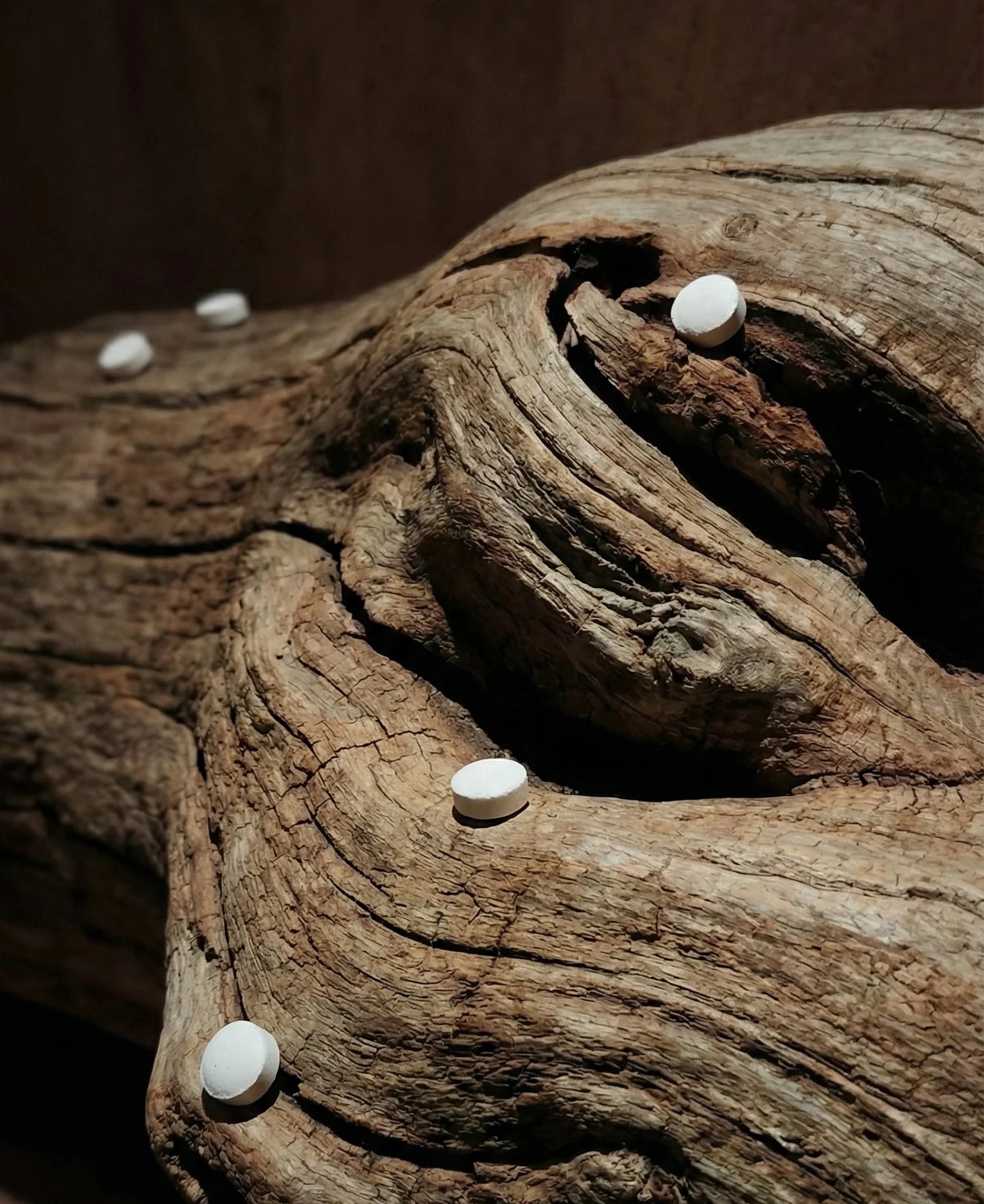 Wood with small Faeora toothpaste tablets on a dark background.