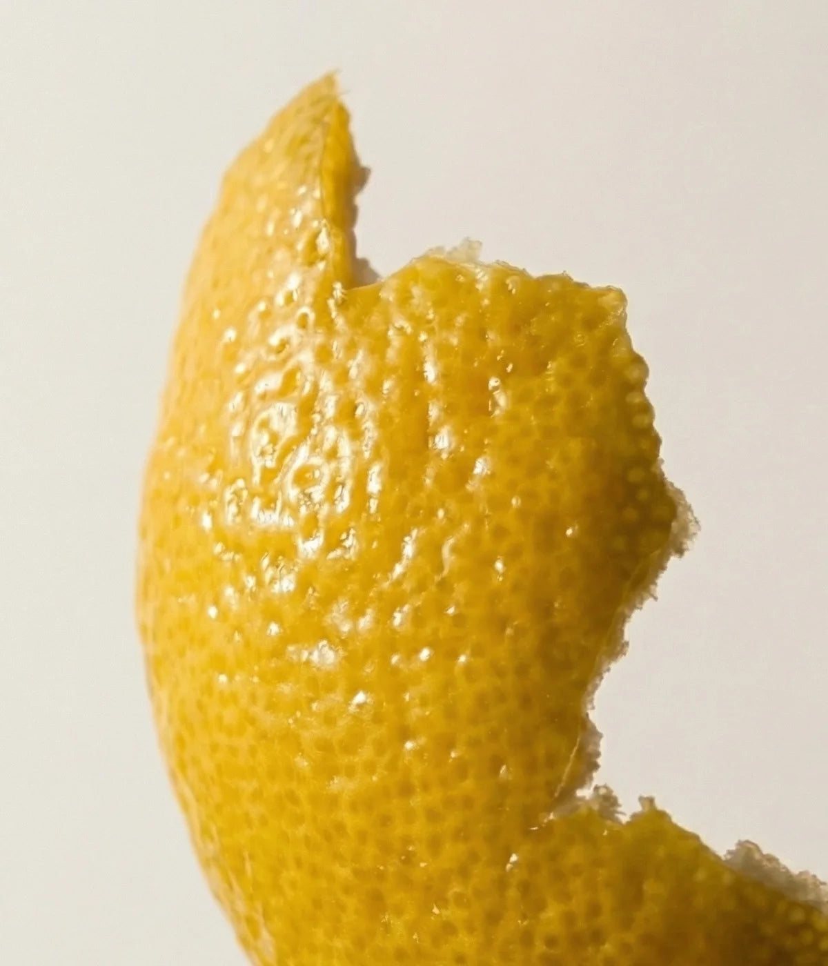 Close-up of a yuzu peel on a light background.
